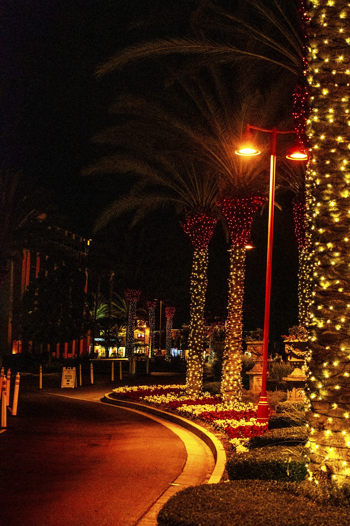 Home4holidays edit copy_Brandon Home for the Holidays
