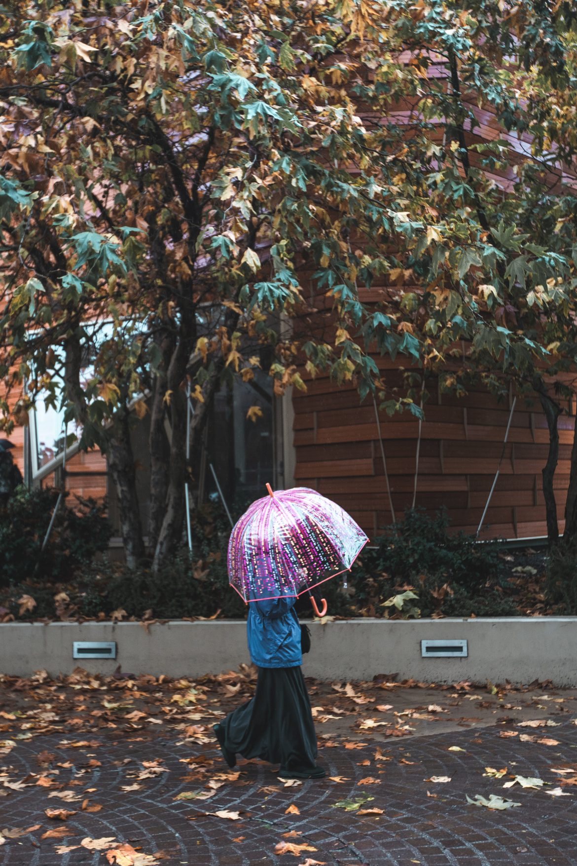 DSC01094_Ben Rainy Days in Los Angeles Pt. II
