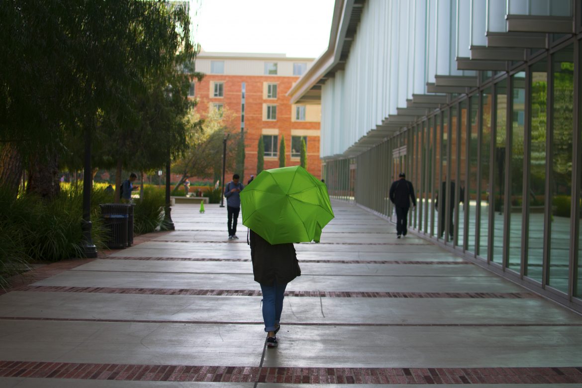 Rainy Day Assignment 2 Rainy Days in Los Angeles Pt. II