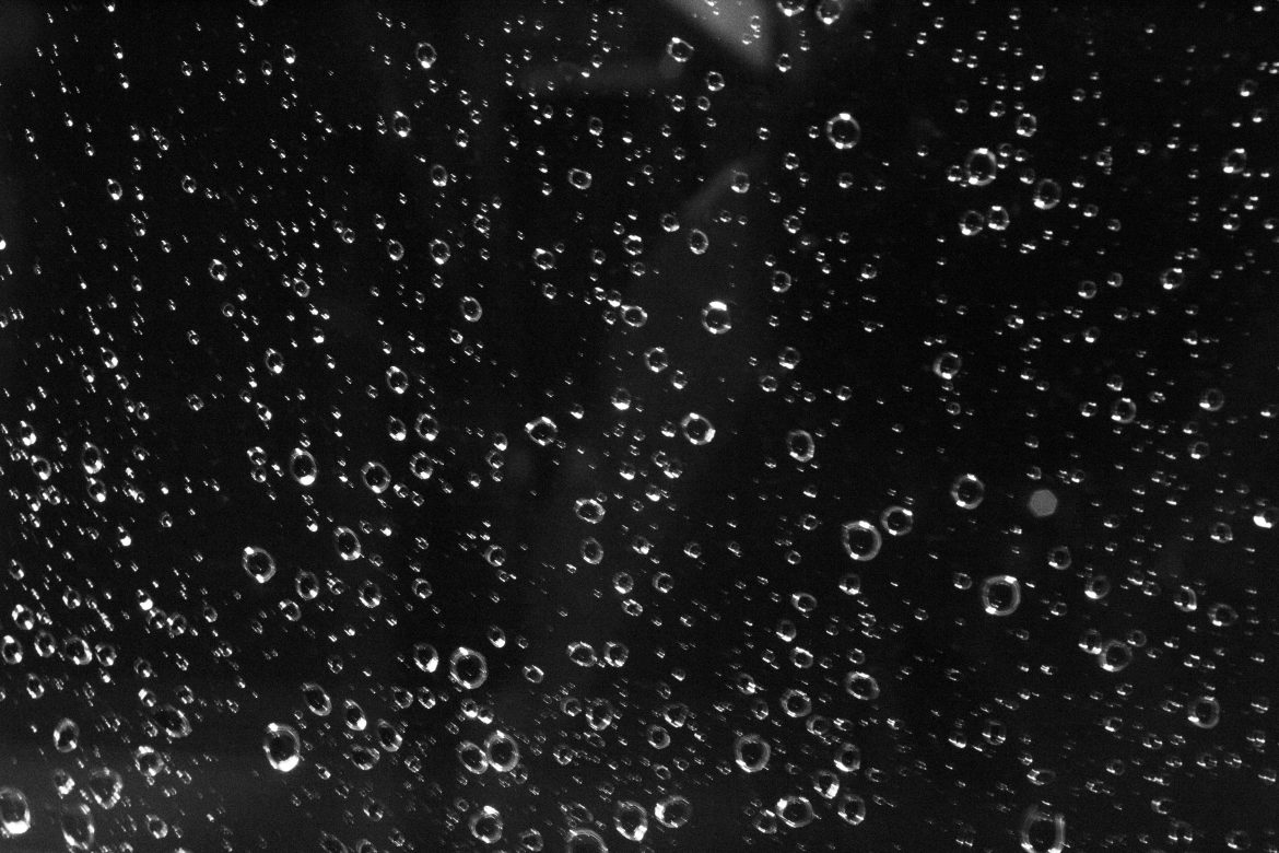 Rainy Day Assignment 2 Rainy Days in Los Angeles Pt. II