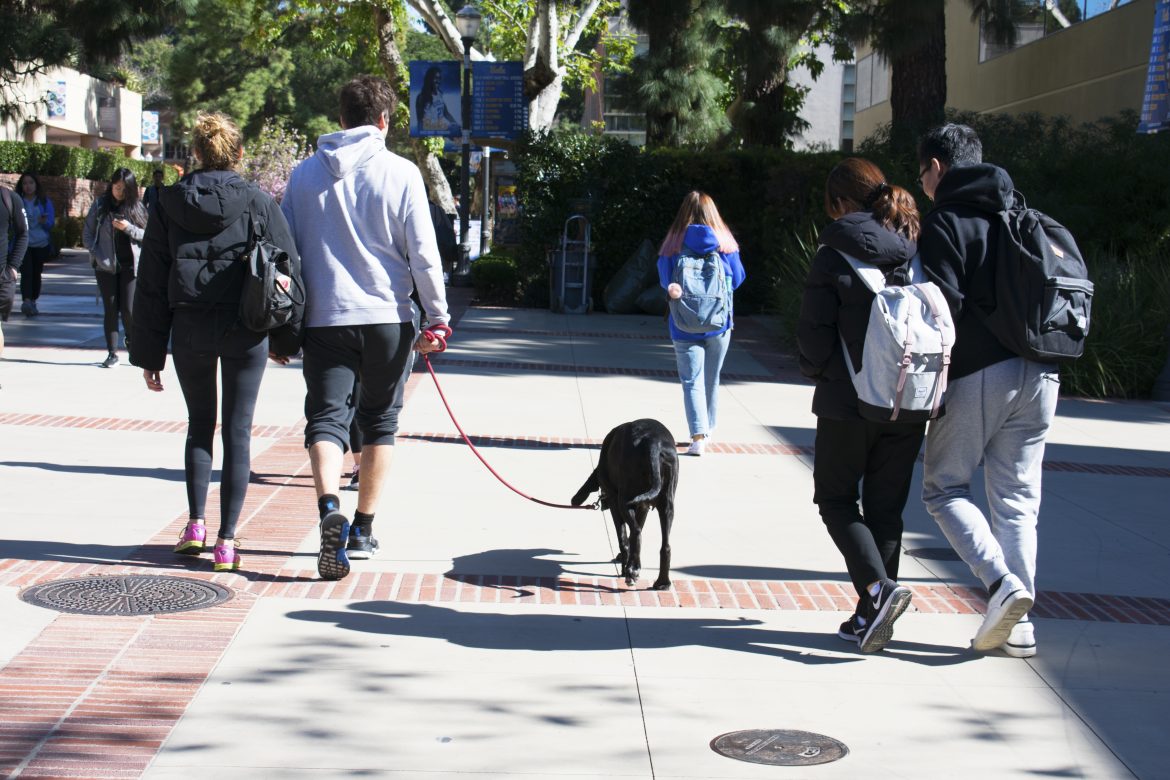 UCLA Students with Dyed Hair Everything’s Better in Twos
