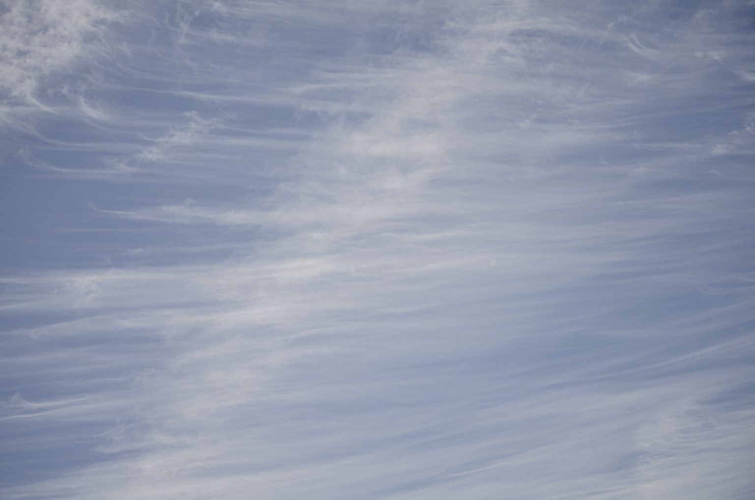 Lines in nature BruinLife