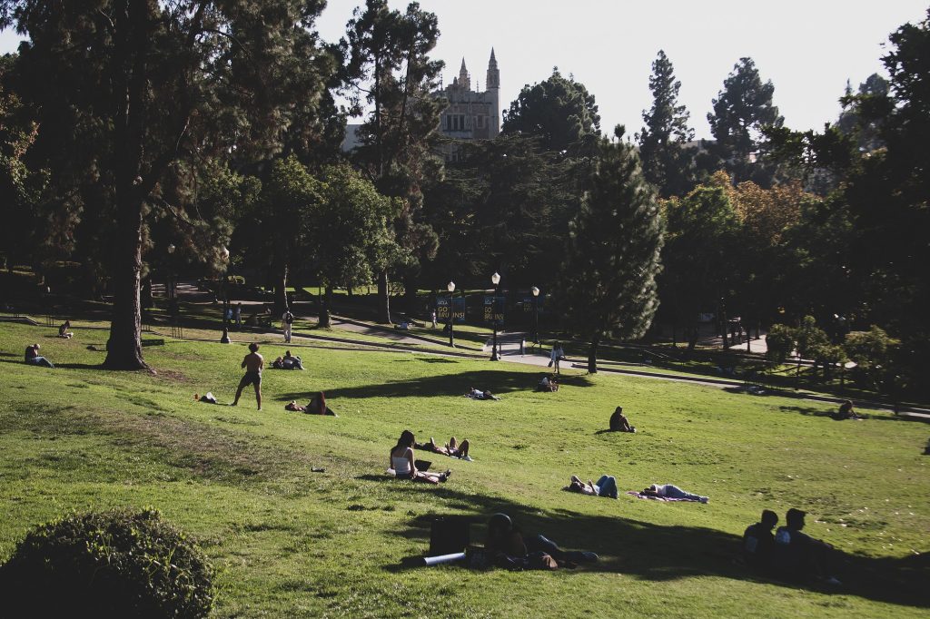 Students lie on the grass after class in the middle of campus. The sloped lawn flanking the Janss Steps always offers a sunny spot for people to read and relax.
