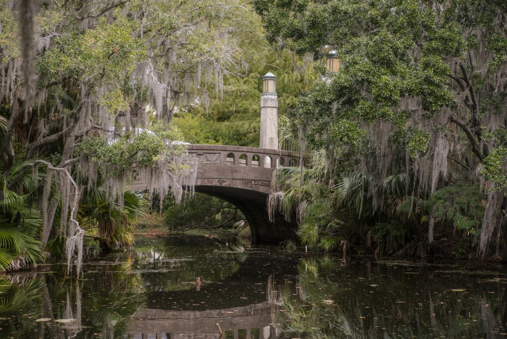 Across from Cafe du Monde, beautiful Spanish moss hangs from reaching trees, framing a scenic bridge. Sensitive to pollution, Spanish moss would not be found near bustling urban sprawls, and instead line serene rivers. Photographed by Emily Chandler/BruinLife.