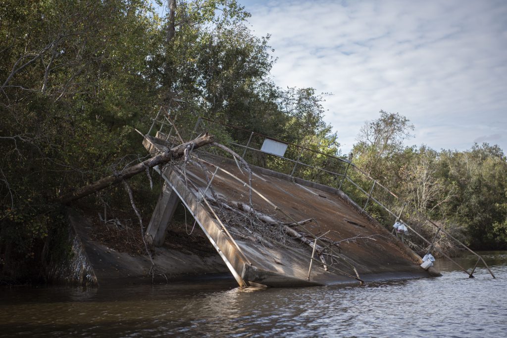 Man-made ruins disrupt many aspects of the alligators' natural habitat. The most immediate threat to alligators in New Orleans is habitat degradation. Photographed by Emily Chandler/BruinLife.