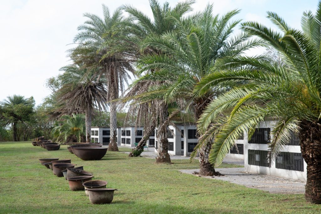 Sugar kettles line along palm trees.  Slaves would arduously break down and ferment sugar cane from the plantation and nearby sources would using these kettles.  Photographed by Finn Martin/BruinLife.