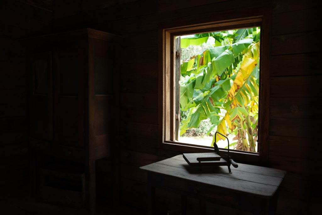 A window inside a kitchen where the enslaved prepared meals for the enslavers opens to a palm tree. Photographed by Finn Martin/BruinLife.