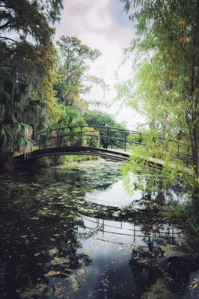 A beautiful swamp showcases the best of nature in New Orleans. It has been located behind the renowned Cafe du Monde in City Park. Photographed by Cathryn Kuczynski/Bruinlife.