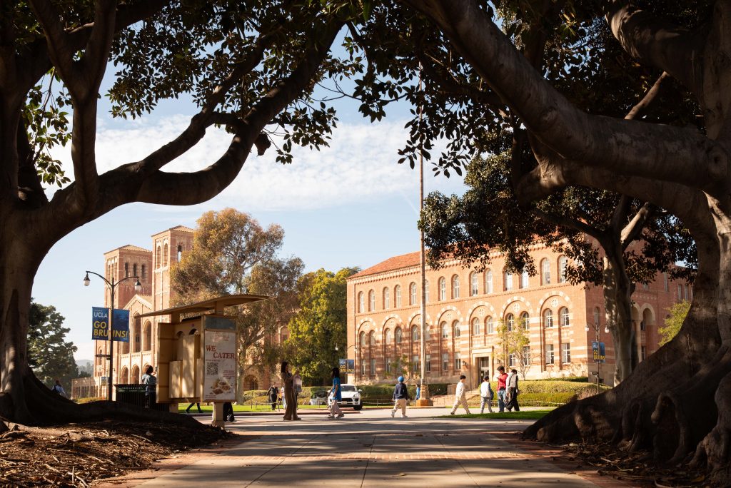 Royce hall(left) and Haines hall(right)  viewed from the Sunken Gardens. Photographed by Khaled Al Duwaikat/BruinLife.