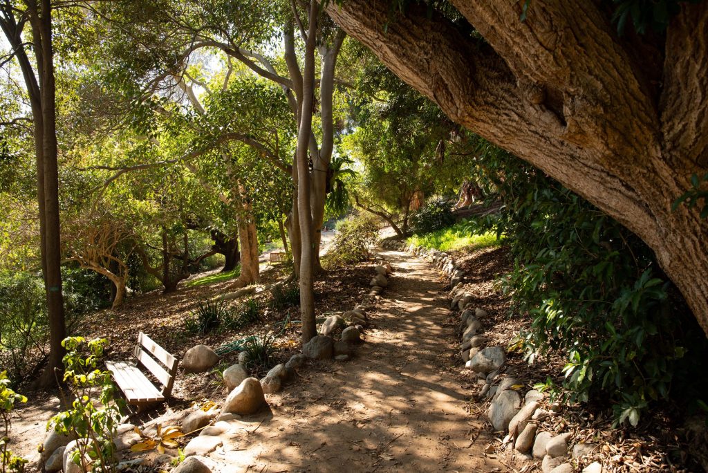 Trail through the Botanical Garden. Photographed by Khaled Al Duwaikat/BruinLife.