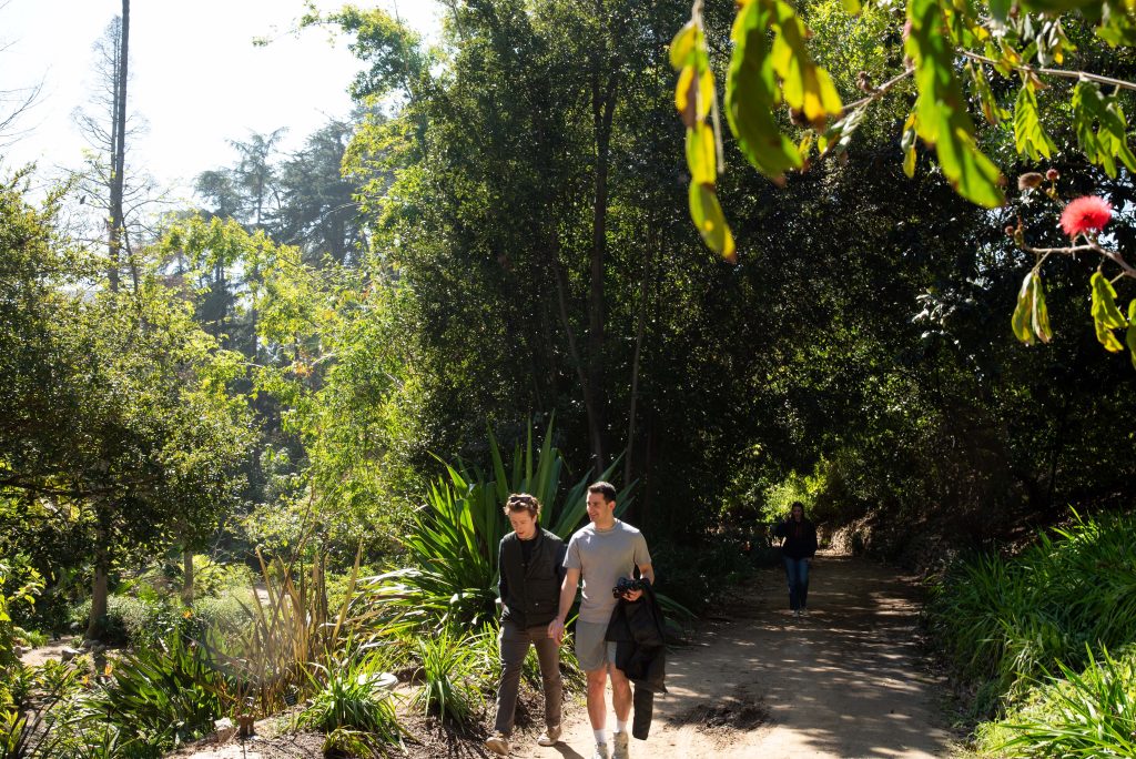 Two individuals enjoy a peaceful walk along a scenic, sunlit nature trail, surrounded by lush greenery, while another person strolls in the background. Photographed by Khaled Al Duwaikat/BruinLife.