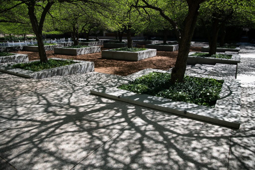 The outdoor gardens cast a spider shadow near high noon. Photographed by Finn Martin/BruinLife.