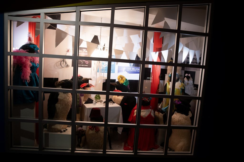 A penguin party to welcome you in. Photographed by Finn Martin/BruinLife.