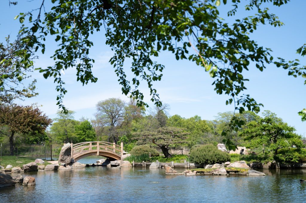 A Japanese Moon Bridge leaps over the garden's koi pond. Photographed by Finn Martin/BruinLife.