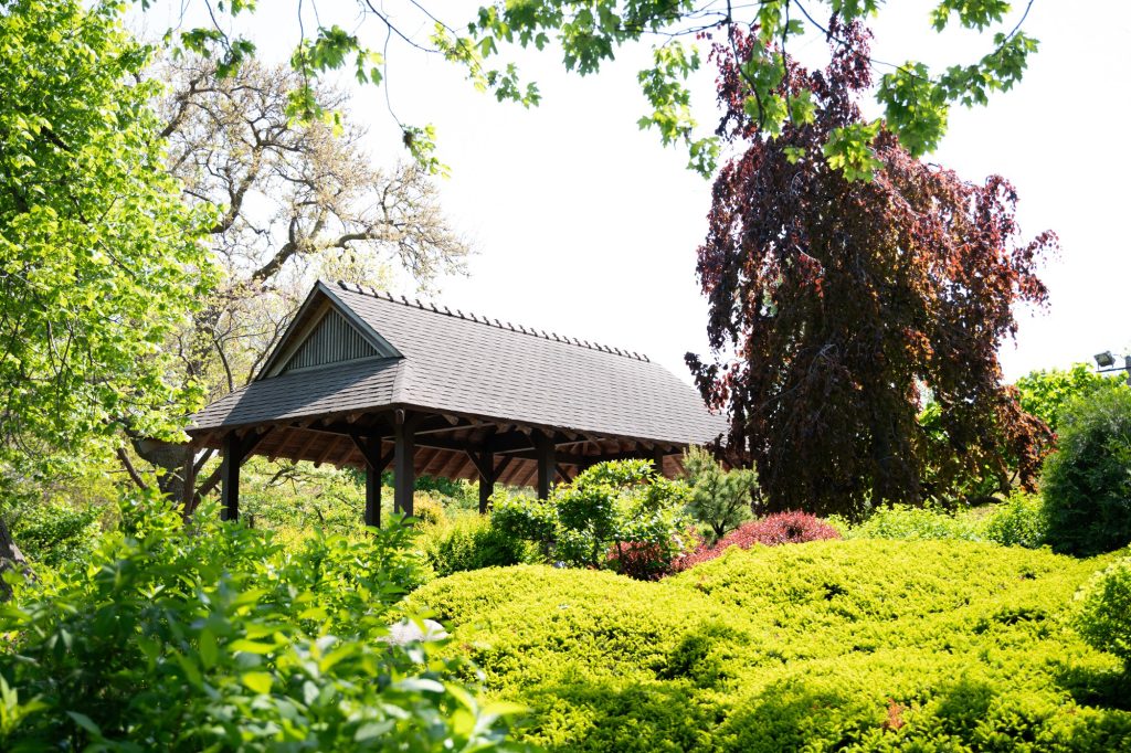 A traditional tea house gifted by the Empire of Japan in 1933. Photographed by Finn Martin/BruinLife.