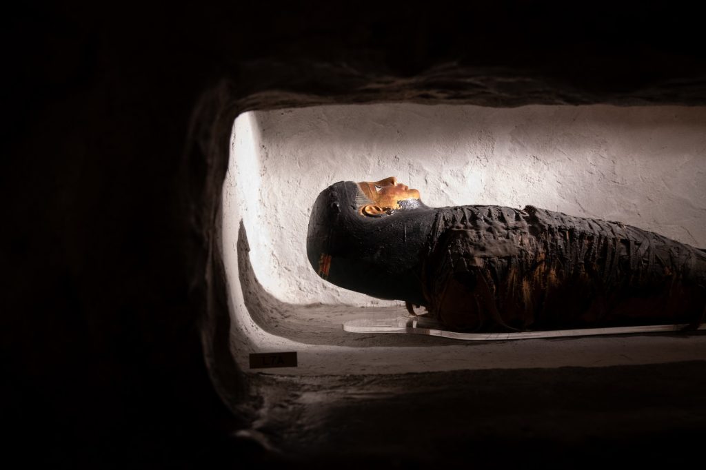 A mummy is pictured. Photographed by Finn Martin/BruinLife.