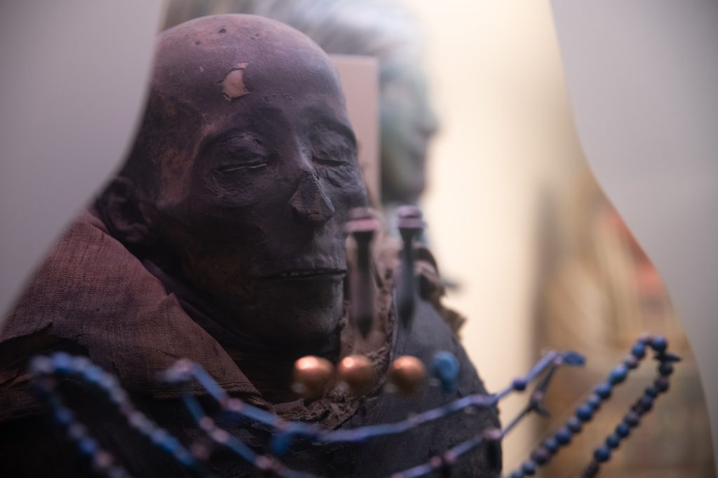 A preserved mummy is on display with jewelry adornments in the fore. Photographed by Finn Martin/BruinLife.