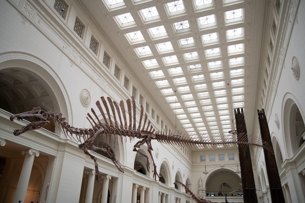 The interior of the Field Museum's main hall in pictured. Photographed by Finn Martin/BruinLife.