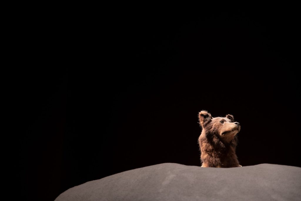 A taxidermy dog appears in the Inuit exhibit. Photographed by Finn Martin/BruinLife.