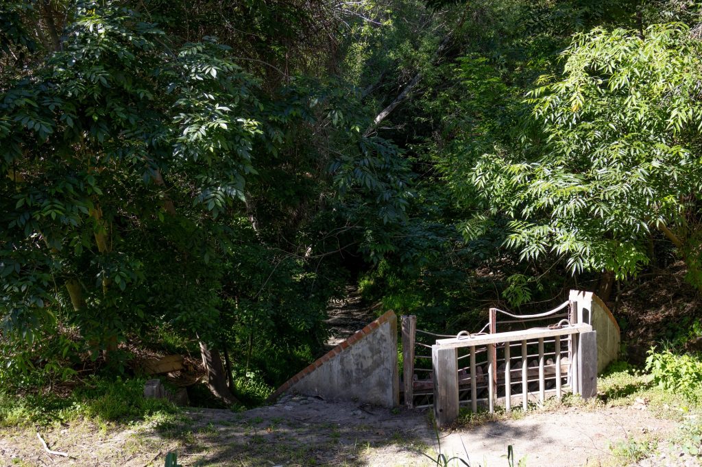 A brick-lined concrete structure overlooks the end of Stone Canyon Creek. Just a short walk away, a similar metal gate marks where the creek exits UCLA Lab School to the north. Photographed by Julia Gu/BruinLife.